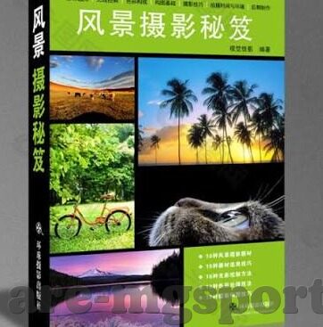 足球大赢家比分-足球大赢家比分，解锁绿茵场上的财富密码与热血激情